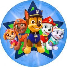 Jedlý opl. 3 Tlapkova patrola  - 20cm